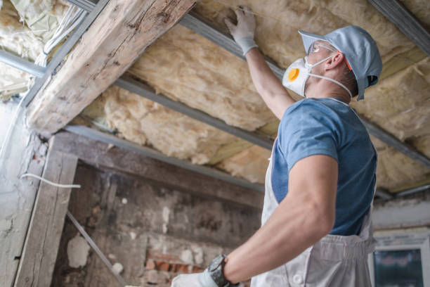 Best Specialty Insulation in Sherrelwood, CO