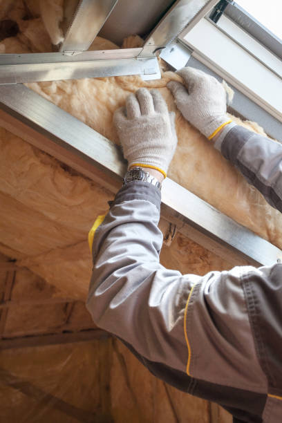 Best Residential Insulation in Sherrelwood, CO